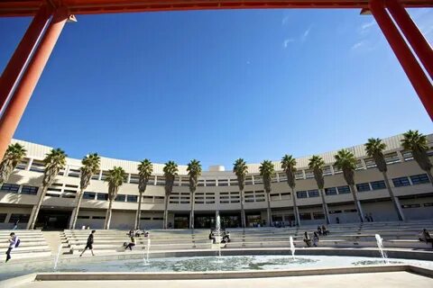 Universidad de