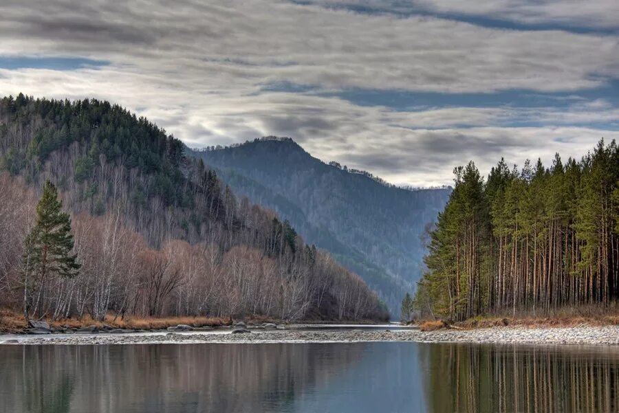 тайга красноярского края климат. Siberia taiga 3. Siberia taiga 3. тайга якутии. тайга зимняя енисей.