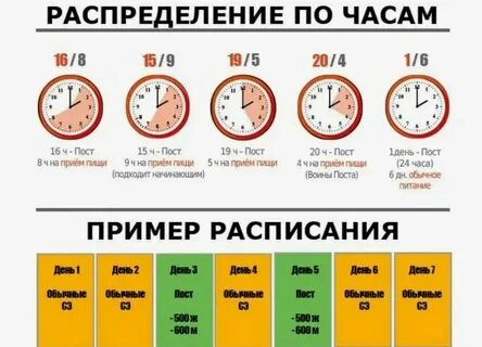 Раз в 2 3 часа