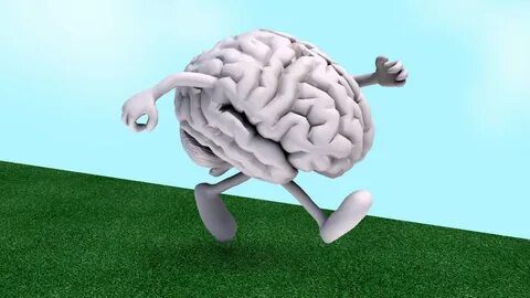 Brain say