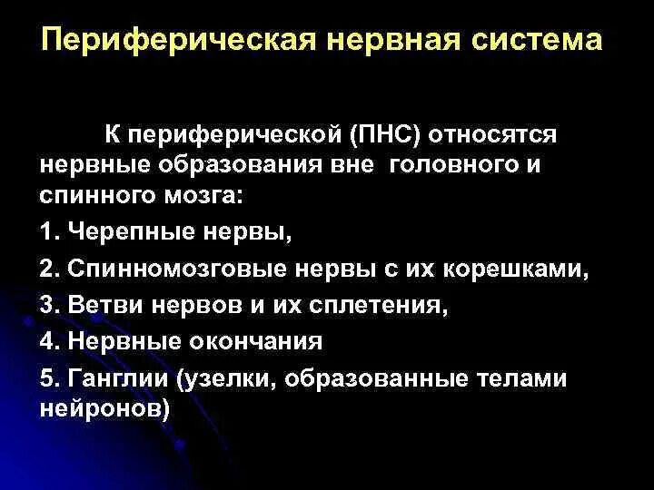 К структурам периферического нерва относят. К периферической нервной системе относят. К периферийной нервной системе относятся. Периферическая нервная система. Перечислите, что относится к периферической нервной системе?.