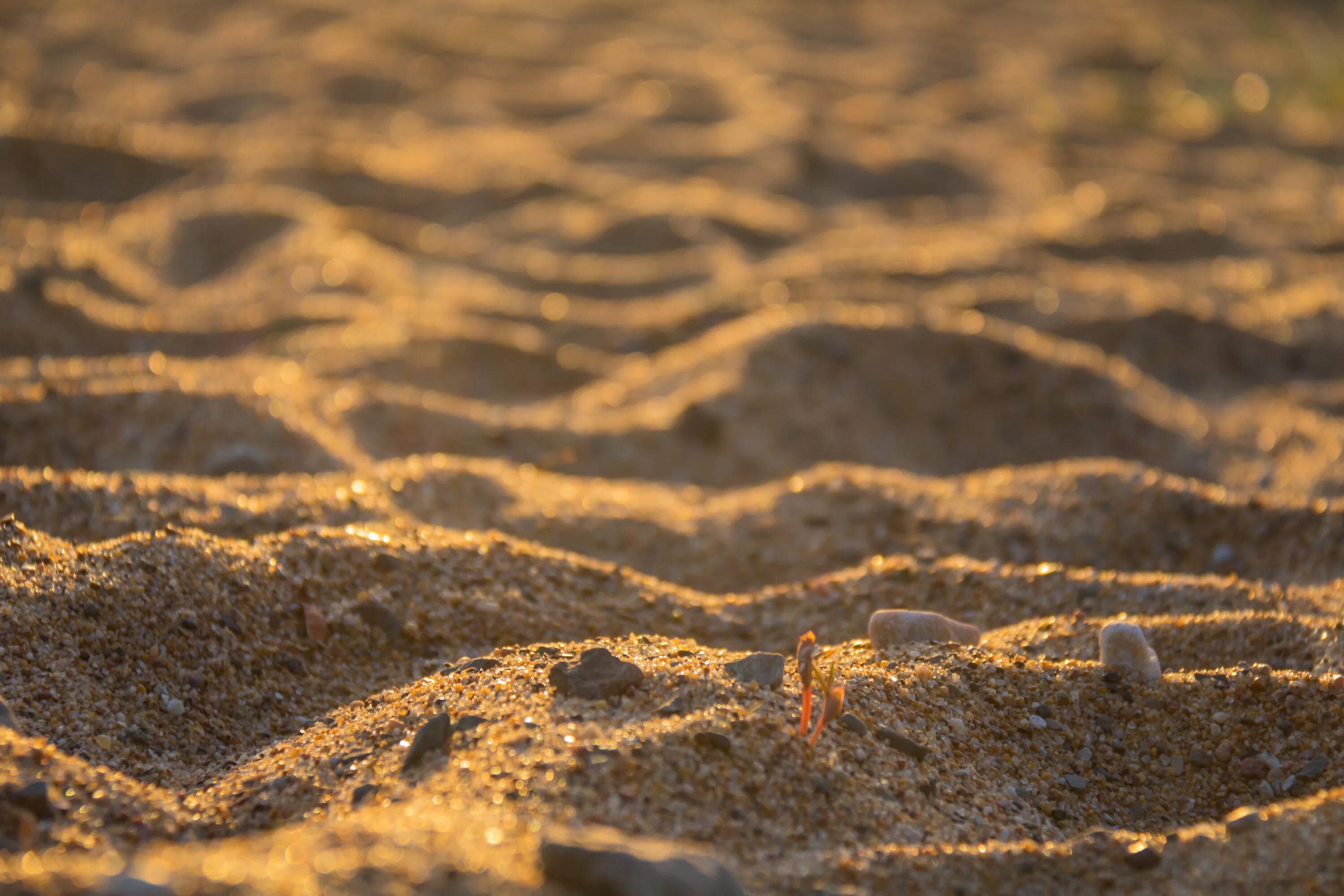 Песок можайск. Песок текстура. Крупный песок. Песок фото. Песок вид спереди.