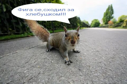 Пошла на фиг