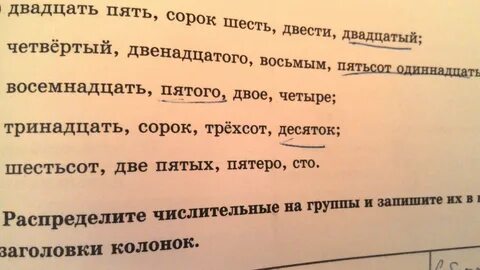 Двадцать сорок четыре