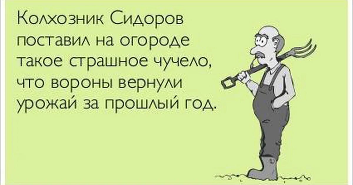 Вроде шутка. Смешные фразы про огородников. Цитаты про дачу смешные. Юмор для мужчин для поднятия настроения. Приколы про огородные работы.