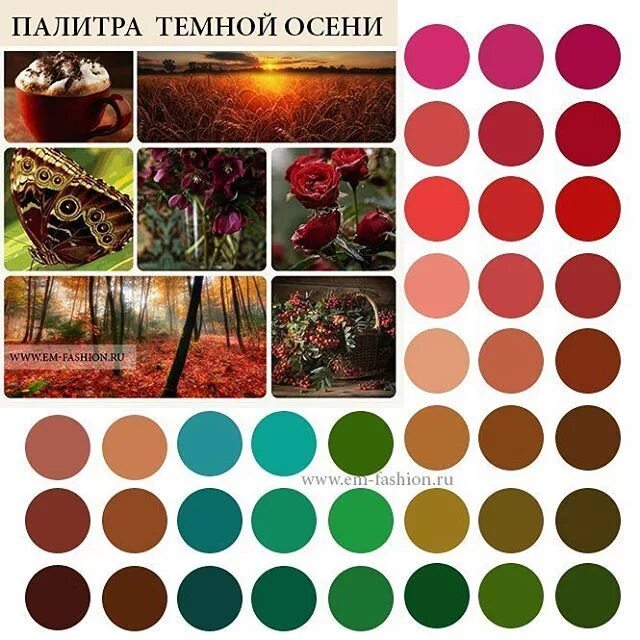 Тип осень цветовая гамма В завершении рассмотрения сезона Осень, еще раз посмотрим на различия подтипов.