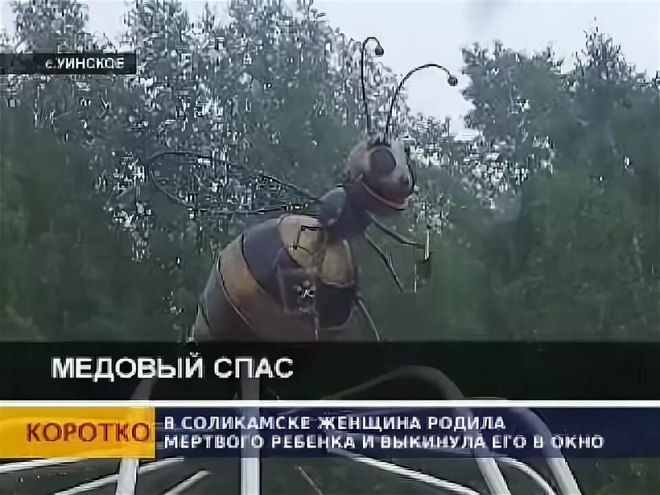Анонс спас. Анонс спас