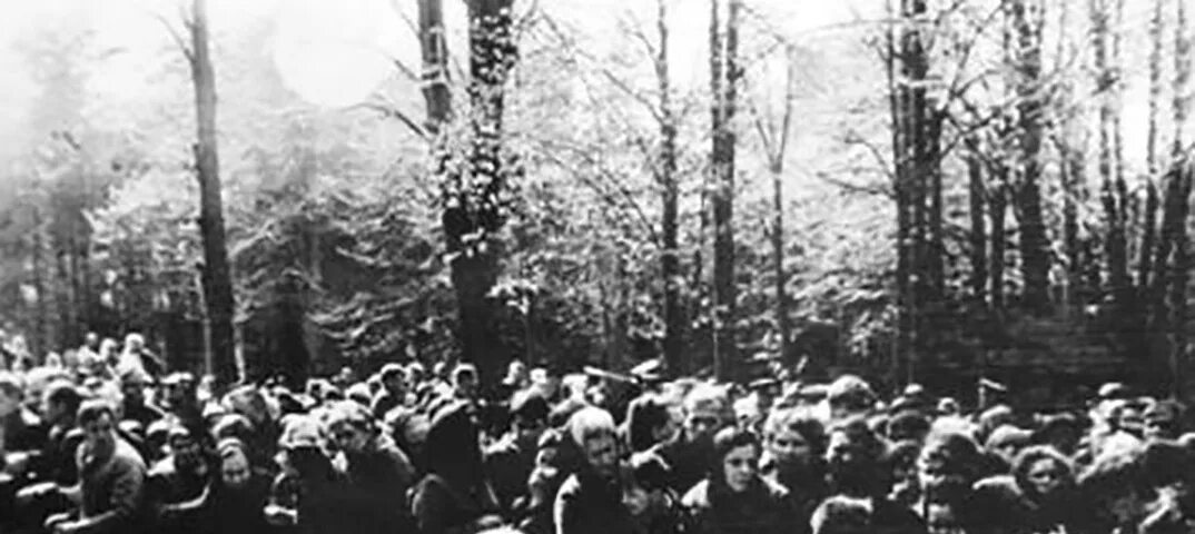 16 мая 1972 год. Катастрофа ан-24 в светлогорске. 16 мая 1972 светлогорск авиакатастрофа. светлогорск 1972 авиакатастрофа детский. катастрофа в светлогорске в 1972 крушение самолета.