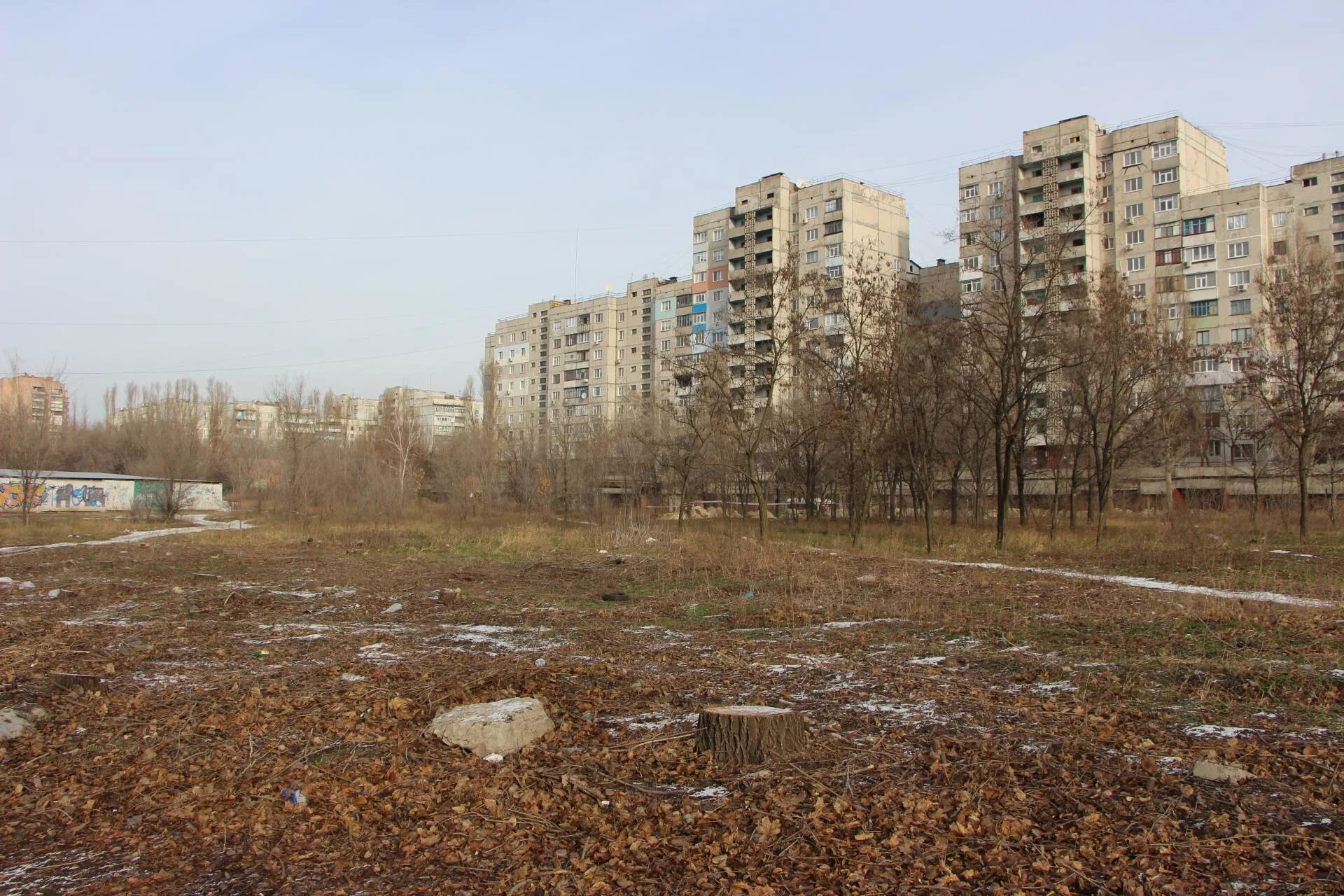 пустырь череповец. пустырь череповец. купчино софийская улица. пустырь застроенный. пустырь на улице.