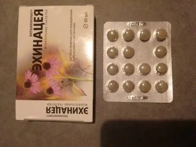 Эхинацея витаиммунит