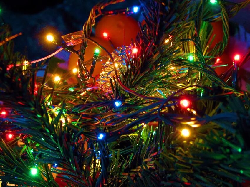 предновогоднее настроение. красивая новогодняя елка. новогодняя вечеринка. новый год дед мороз. новогодние фото.