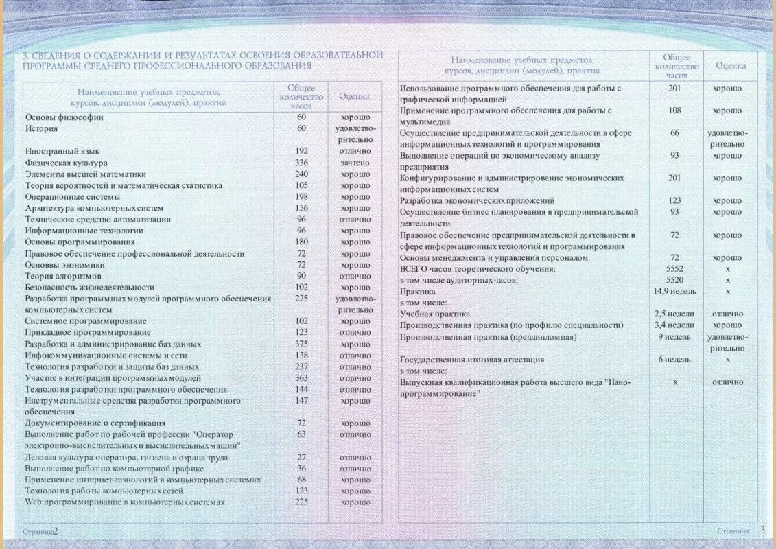 Приложение к диплому о среднем профессиональном образовании образец. Приложение к диплому с оценками.