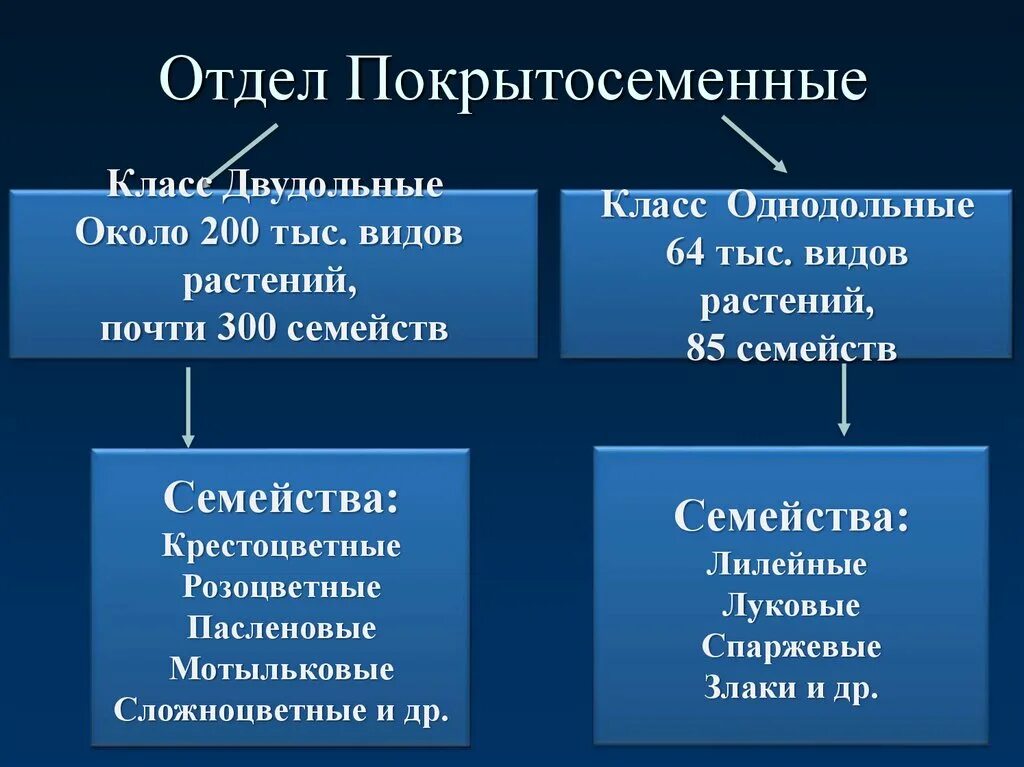 Однодольные это отдел или класс. Семейства покрытосеменных цветковых растений 7 класс. Отдел Покрытосеменные общая характеристика. Особенности отдела Покрытосеменные. Характеристика отдела Покрытосеменные.