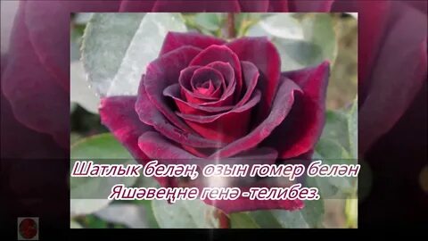 Туган көн җырлар