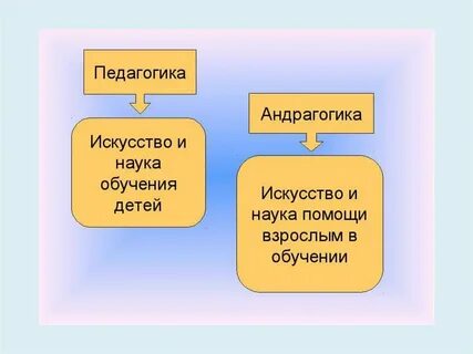 Слово педагогика