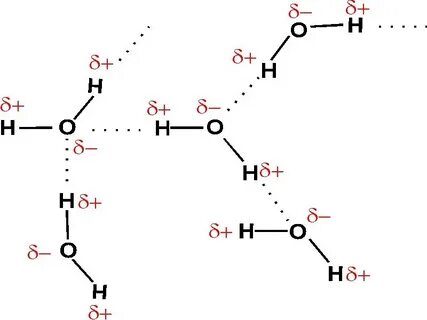 H2o2 водородная связь