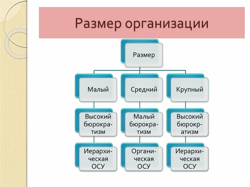 Размер предприятия. Масштаб предприятия. Как определить размер организации. Масштаб предприятия виды. Требуется вэд