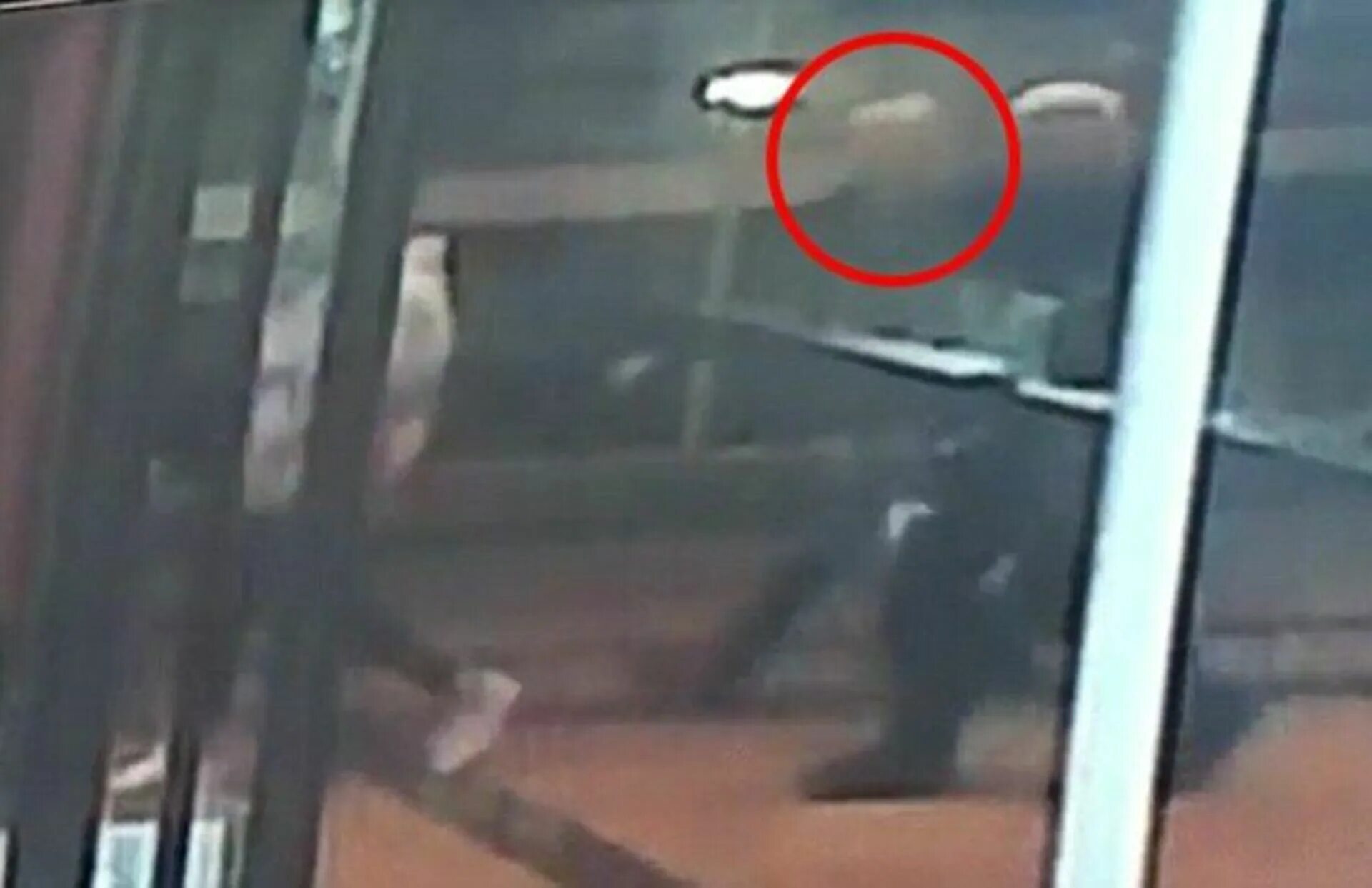 Видео где избивают салтанат нукенову. Видео где избивают салтанат нукенову. Видео где избивают салтанат нукенову. Видео где избивают салтанат нукенову. Салтанат нукенова страшные кадры.