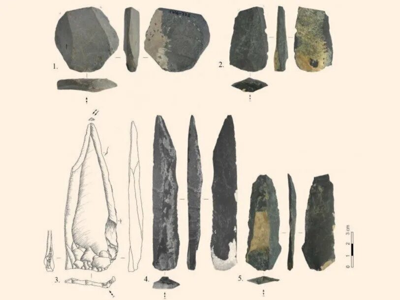 Первобытные инструменты. Каменные орудия труда древних людей. Каменные орудия палеолита. Каменные орудия кроманьонцев. Орудия труда из камня первобытных людей.