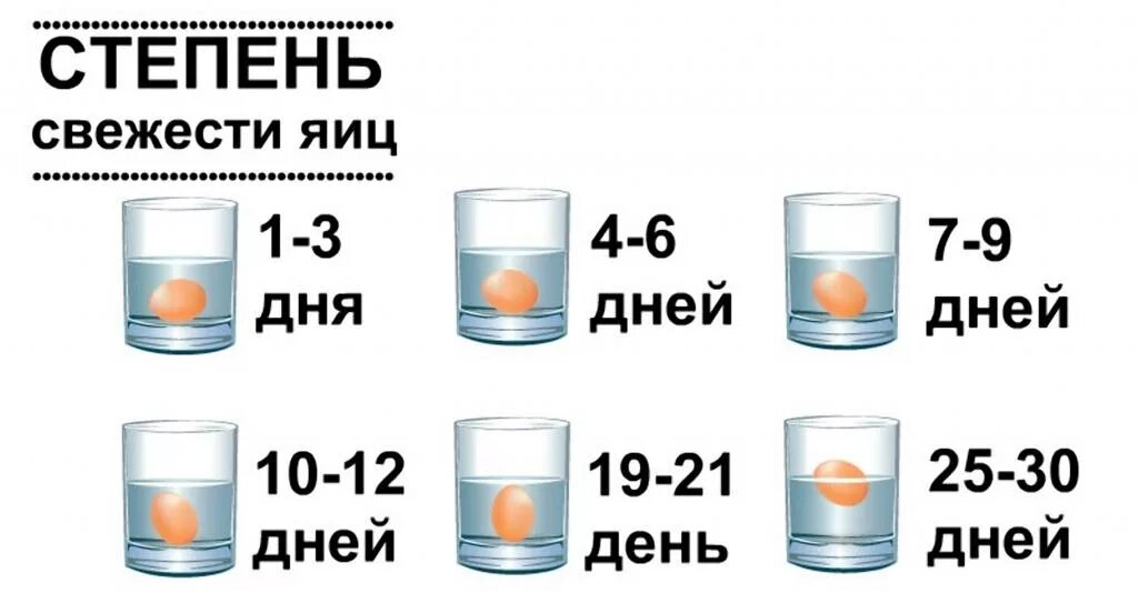 Проверить яйца на свежесть в воде домашних. Степень свежести яиц. Определить свежесть яиц. Проверка яиц на свежесть. Проверка срока годности яиц.