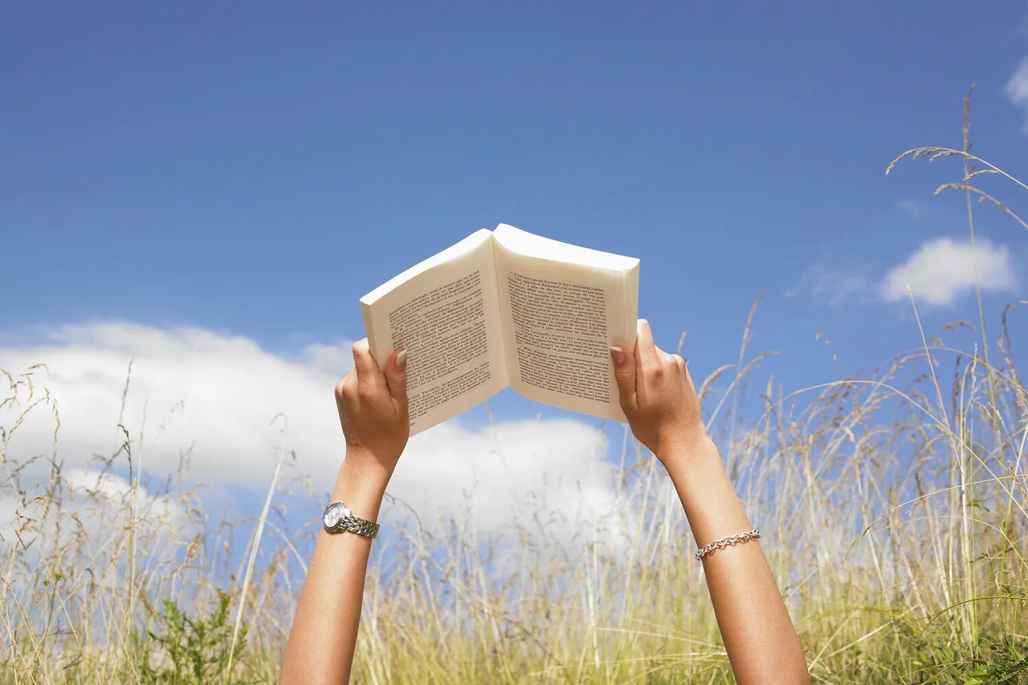 Книга которую прочитал летом