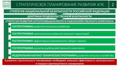 Стратегии развития агропромышленного и рыбохозяйственного комплексов