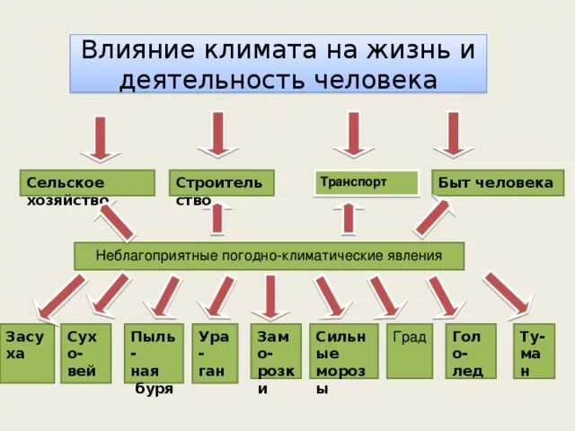 Влияние климата на жизнь человека примеры