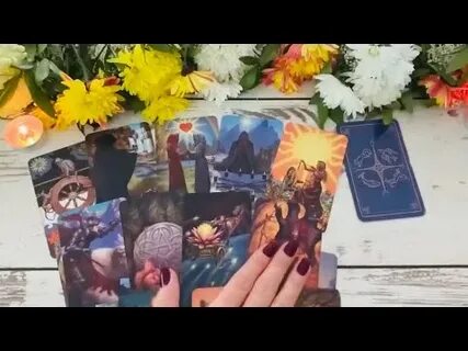 Лилия голден таро