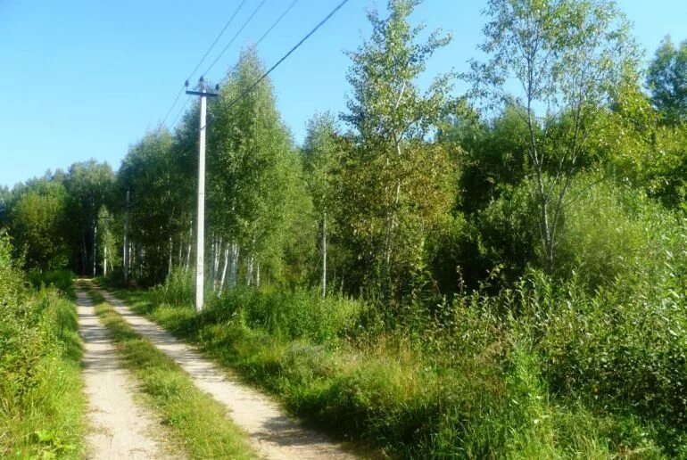 Деревня сорокино московская область