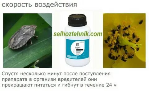 Борей инсектицид инструкция
