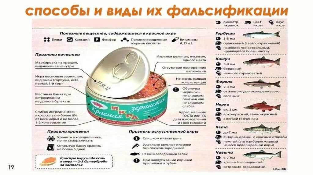 Что содержится в икре