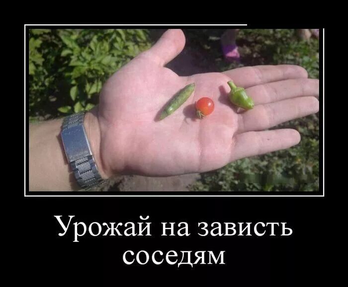 Что завидуешь да