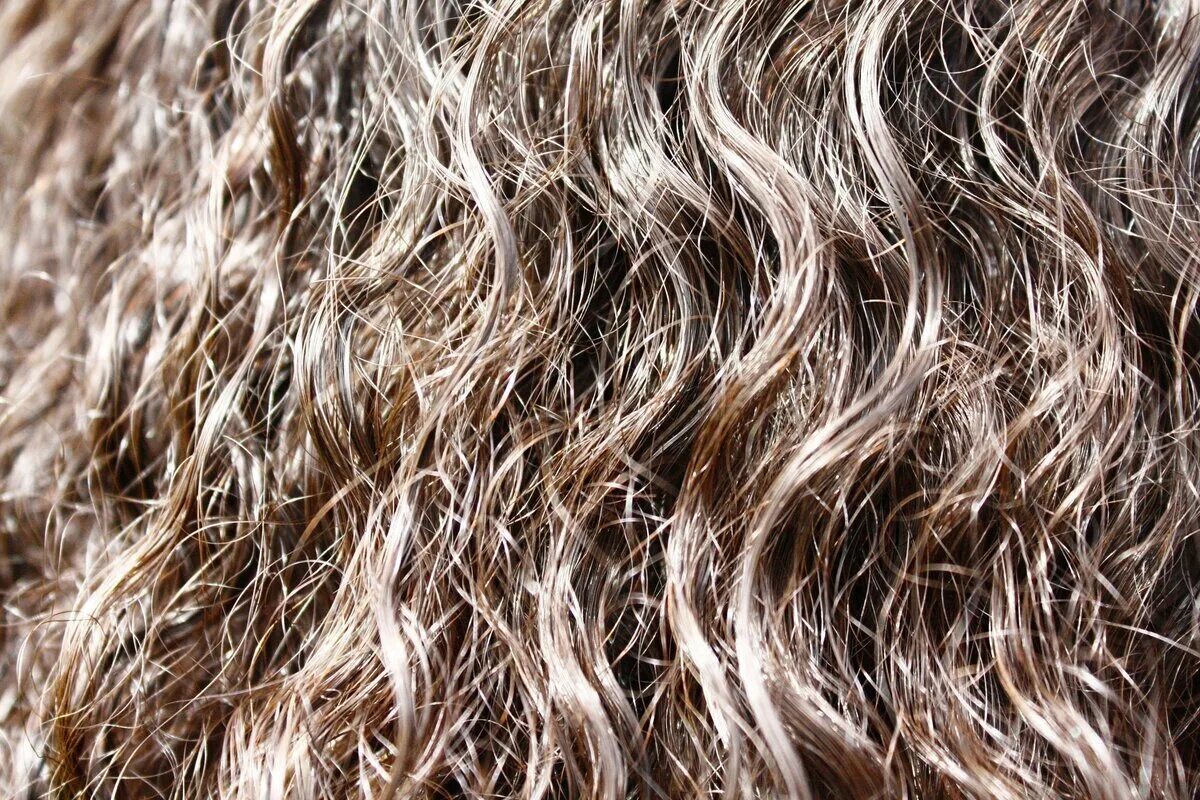 Текстура волос. Кудрявые волосы для фотошопа. Текстура кудрявых волос. Фактура волос.
