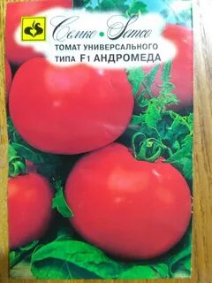 Сорт томатов андромеда отзывы