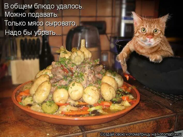 Подайте мне обед мне и моему. Обед прикол. обед юмор. приколы про еду. обед картинки прикольные.