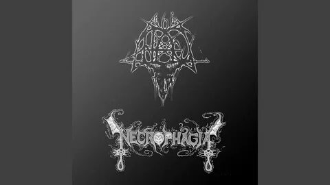 Аргемия voices of the