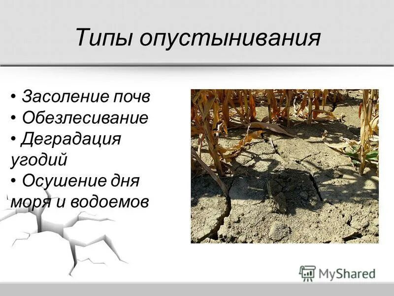 Какие действия человека приводят к опустыниванию