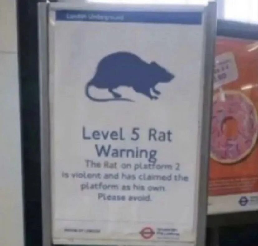 Рата 5. Level 5 rat Warning.