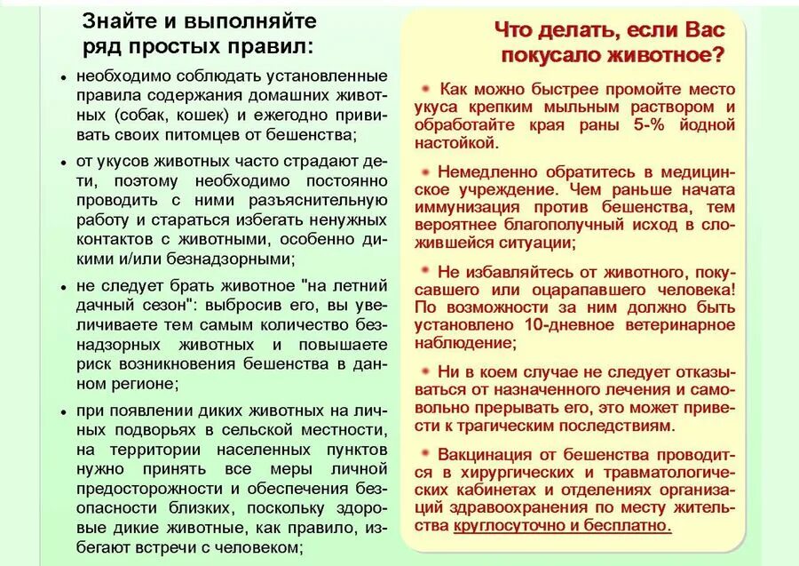 Прививки от бешенства после укуса. Прививка от бешенства после укуса кошки. Прививки от бешенства при укусе собаки. Прививка от бешенства человеку после укуса собаки схема. Укусила кошка бешенство