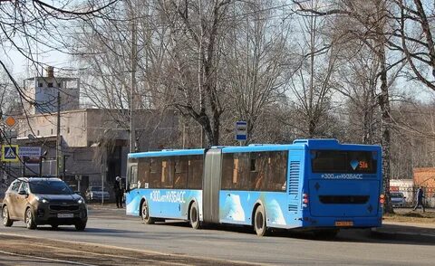 538 автобус москва