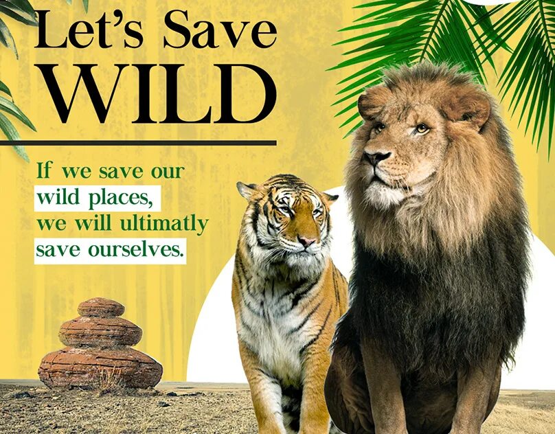 Save wildlife. Save wild animals. Save wild. Save animals картинки. Save the wild.
