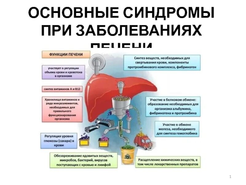 Основные синдромы поражения печени. Основные синдромы при заболеваниях печени. Основные синдромы при патологии печени. Основные клинические синдромы поражения печени. Основные синдромы печени