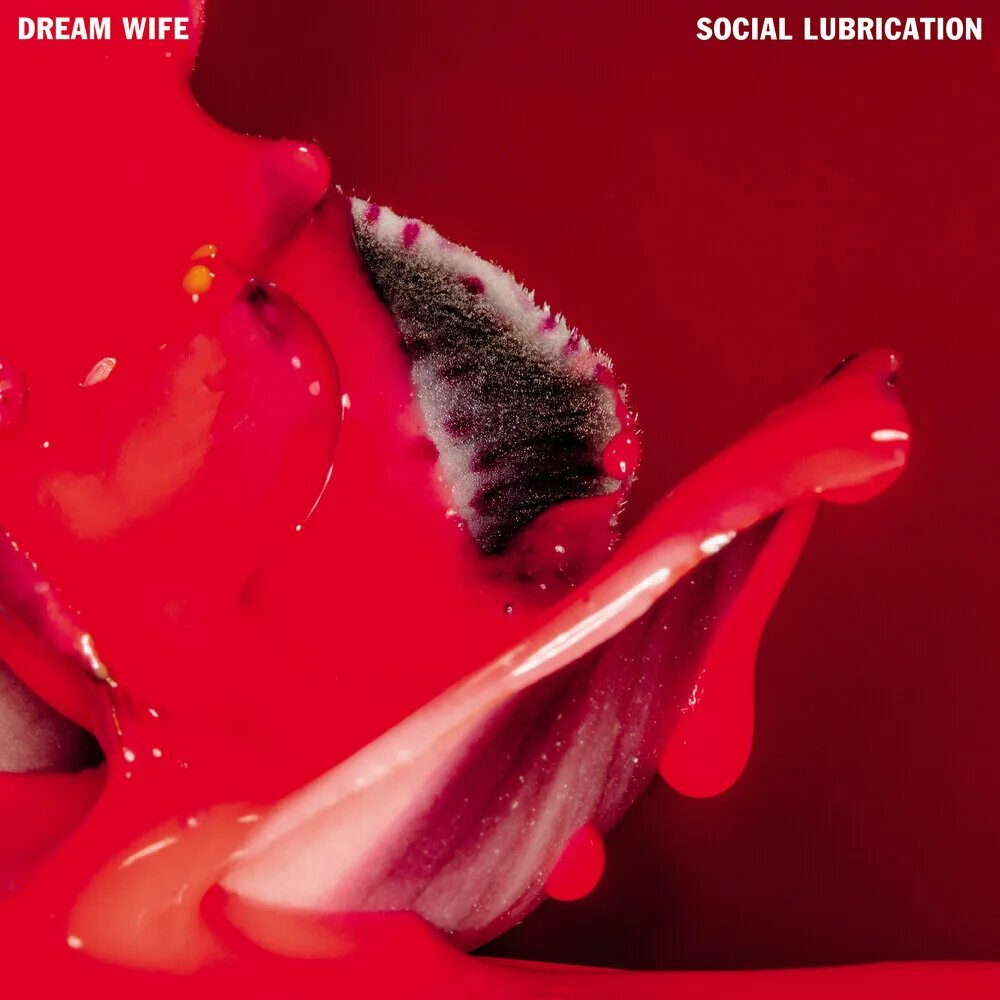 Dream wife social lubrication. Dream wife album Cover.