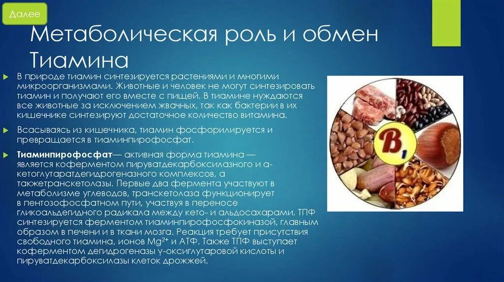 Витамин б1 тиамин. Витамин в1 тиамин функции. Функции витамина б1 в организме человека. Водорастворимый витамин b1 функции. На что влияет б 1