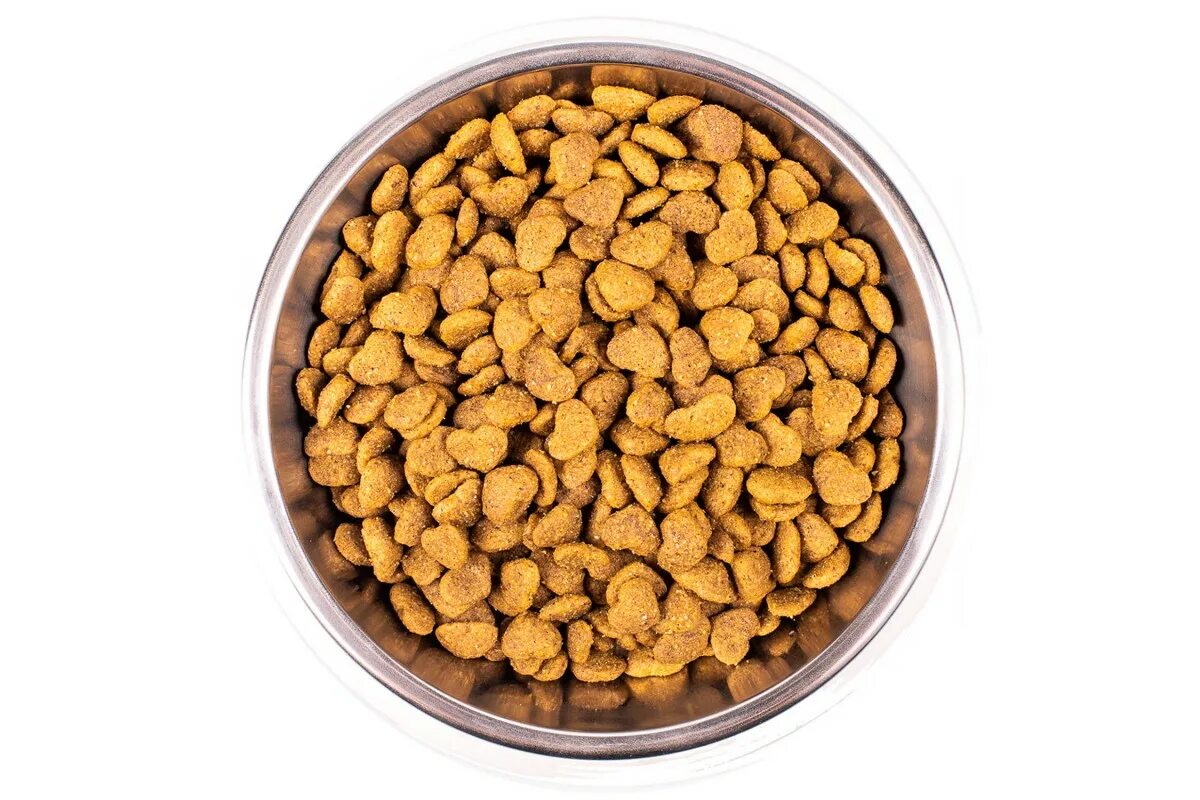 Корм для собак go! sensitivity + shine лосось 5. Корм для животных. 45 кг. Сухой корм. Корм бравади.