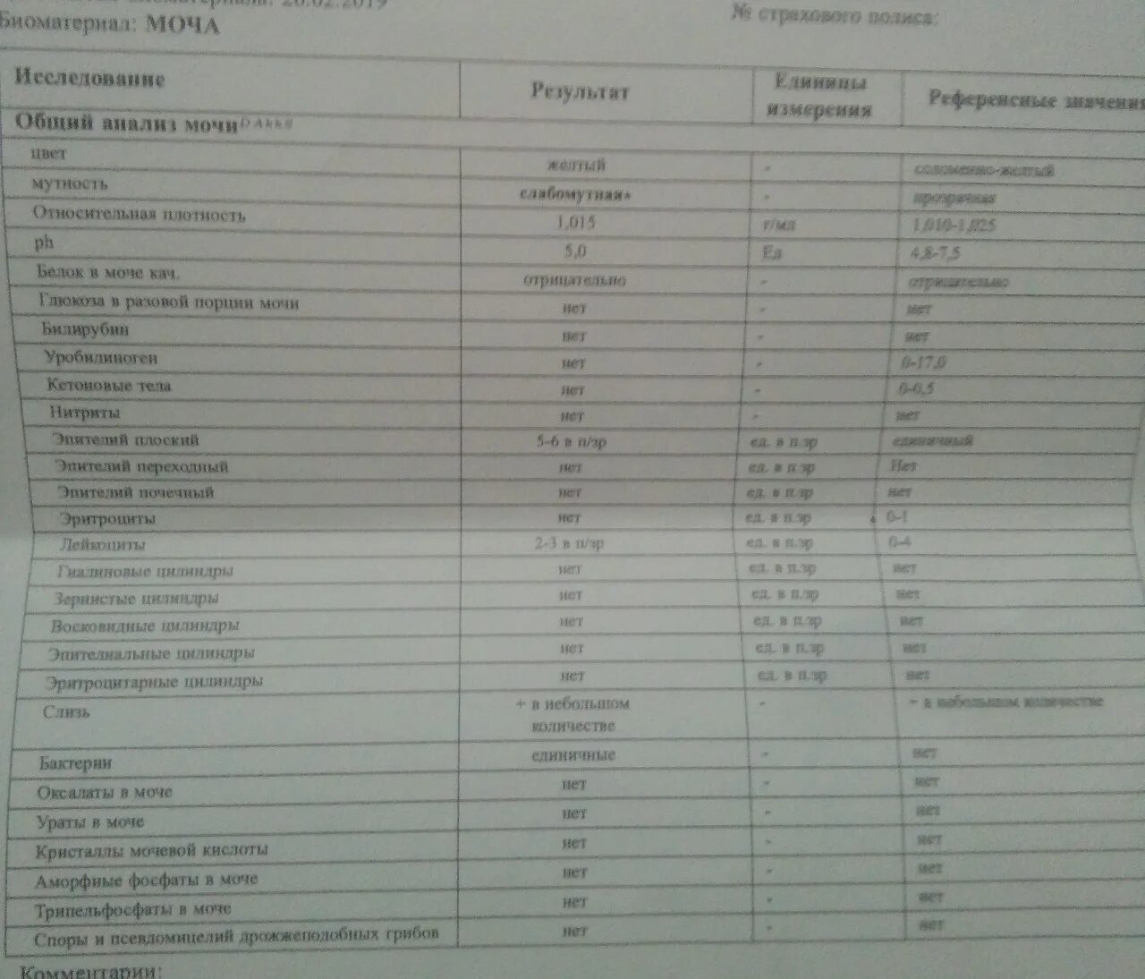 Фосфаты в анализе мочи. Анализ мочи патология. Анализ мочи без патологии. Общий анализ мочи фосфаты в моче. Ураты в моче.