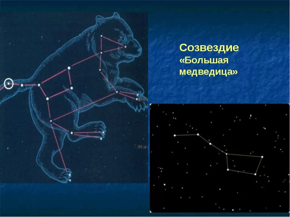 Как выглядит Созвездие большая Медведица. Созвездие малой медведицы полностью. Созвездие большой медведицы картинки. Созвездие большмедведицы. Почему созвездие большая медведица