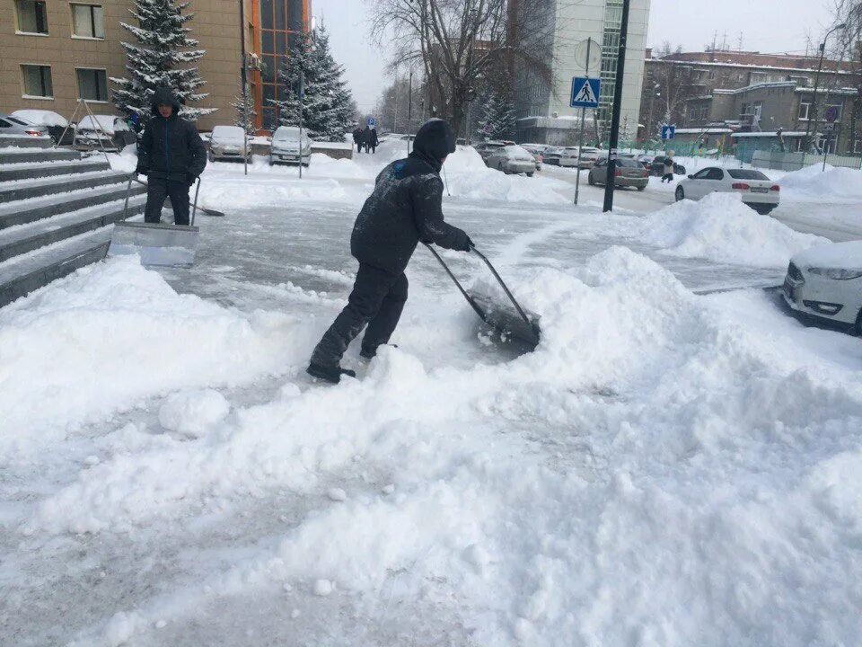 Снег в Новосибирске. Снегопад в Новосибирске. Сугробы в Новосибирске. Новосибирск много снега.