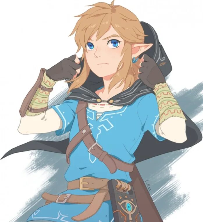 Линк и зельда botw. Зельда персонажи линк. Линк и зельда аниме. Линк breath of the wild арт. Где линка.