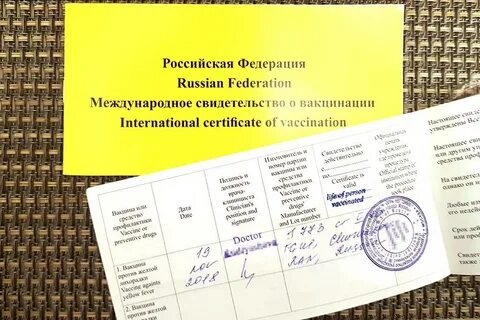 Выдают ли сертификаты